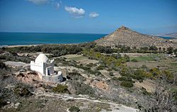 Alcudia de Berberia