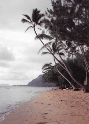 Beach in Punaluu, Oahu, Hawaii