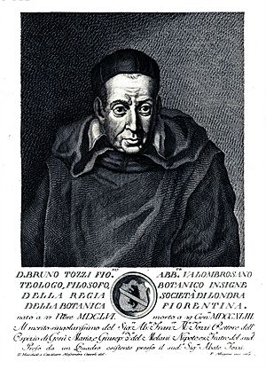 Bruno Tozzi engraving