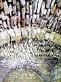 Buildwas Abbey - sacristy roof