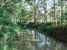 Bulimba Creek Mansfield.jpg