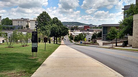 Campus from the Hill