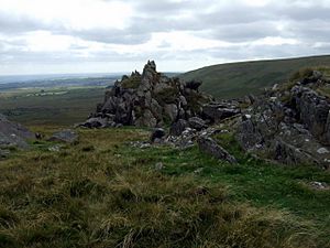 Carn Meini-Menyn - geograph.org.uk - 1450597