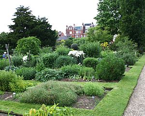 Chelsea physic garden