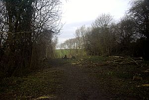 Chesterfield Canal near renishaw