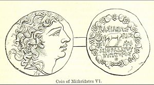 CoinOfMithVI