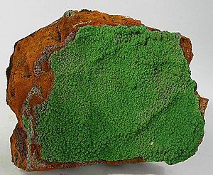 Conichalcite-157162