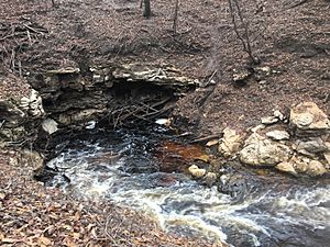 Dead River Sink