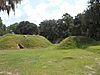 Fort McAllister