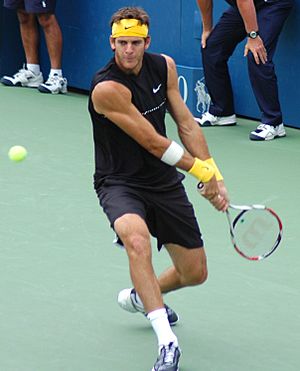 Juan Martín del Potro at the 2009 US Open 03