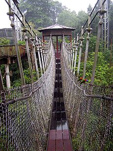 Jurong BirdPark -rope bridge-4