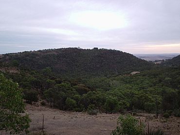 Kaiserstuhl South Australia.JPG