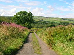 Kerland Row, Dalry