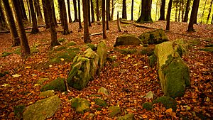 Killakee Wedge Tomb