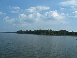 Leesburg FL Lake Harris02.jpg