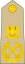 Libya-Army-OF-10.svg