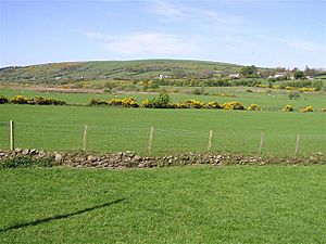 Lisbunny Townland - geograph.org.uk - 420515.jpg