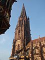 Münster Freiburg