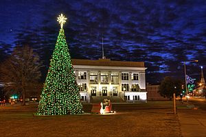 Meridian City Hall Christmas 2011