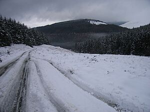 Military Road Laragh-Glenmalure