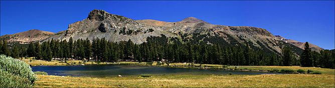 Mount Dana Yosemite Lake