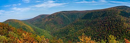 Mount Greylock State Reservation