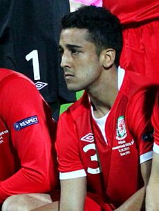 Neil Taylor Wales