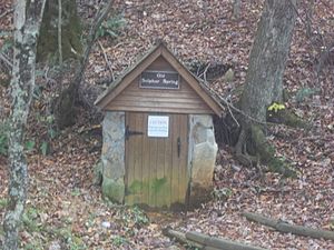 Old Sulfur Spring