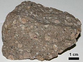 Olearyandesite