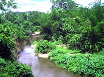 Paisaje camino1.jpg