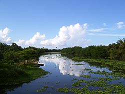 Rio-Plata-Dorado-PR