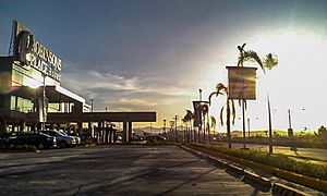 Robinsons place roxas facade