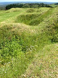 Ruapekapeka fortification earthworks