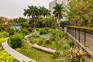 SONGPINGSHAN PARK, SHENZHEN (4)