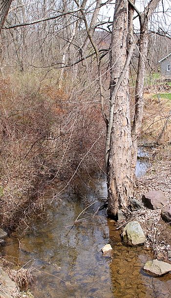 Salem Creek looking upstream.JPG