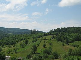 Rural landscape in Slătioara, Râșca