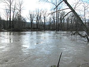 Snoqualmie River-6.jpg