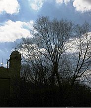 St Abraam Coptic Church Woodbury NY