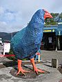 Takahe Te Anau