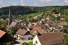 Trüllikon 2011-09-20 14-00-44.jpg