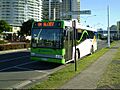 Translink MDi in Tweed Heads.jpg