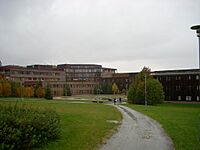 University of Tromsø Breivika campus