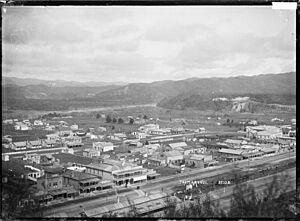 View of Taumarunui (21561204796)