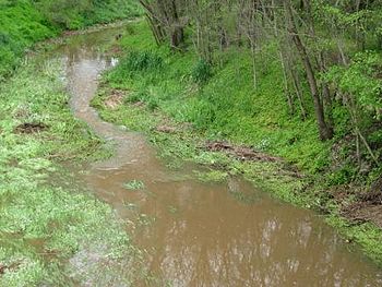 Wakefield River, Auburn.JPG