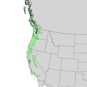 Acer macrophyllum range map 1.png