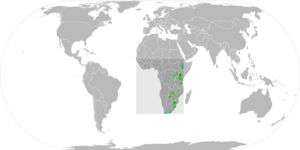 African Goshawk ebird data map.png
