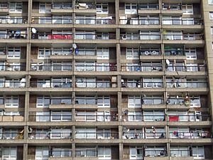 Balconies of the Trellick Tower