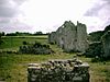 Ballyloughan Castle.jpg