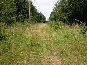 Barnstaple Wood - geograph.org.uk - 204206.jpg