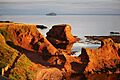 Bass Rock from Dunbar